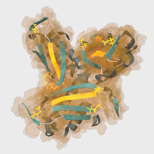 OncoOne's oxMIF
